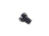 Mopar 4893378AA Screw Bleeder, Front Mopar 4893378AA Screw Bleeder, Front