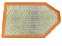 Mopar 68172459AA Air Filter Mopar 68172459AA Air Filter