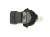 Mopar 68466384AA Parking Lamp Bulb, Front