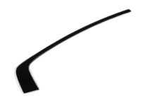 Mopar 57010506AI Molding Day Light Opening Rear Door