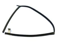 Mopar 4894124AH Run Channel, Front