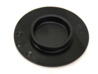 Mopar 1YY39DX9AA Clip Carpet Retention, Second Row Floor, Mat To Load Floor