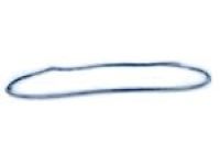 Mopar 55399213AE Door Weatherstrip, Front Outer Driver Side