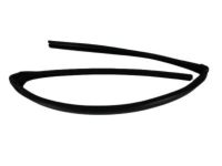 Mopar 55112367AF Seal Glass Running Front