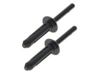 Mopar 68100467AA Plug Rivet