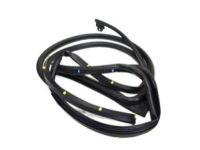 Mopar 55112374AH Surround Weatherstrip, Rear Outer Passenger Side