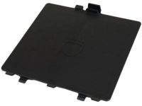 Mopar 68156815AA Door Access