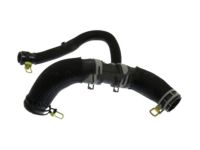 Mopar 5181877AH Lower Hose
