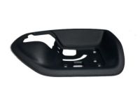 Mopar 1RC71DX9AB Handle Bezel, Black, Center Driver Side