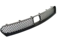 Mopar 68214868AB Lower Grille, Front