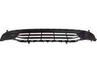 Mopar 68312410AC Lower Grille, Front