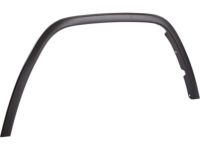 Mopar 1MP38RXFAE Molding Wheel Flare Front Fender