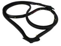 Dodge Journey Weather Strip - 5076866AD Door Weatherstrip, Front Outer Passenger Side