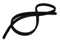 Mopar 55394780AC Weatherstrip Liftgate Glass Mopar 55394780AC Weatherstrip Liftgate Glass