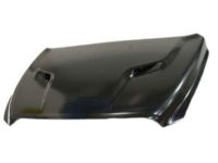 Mopar 68160235AF Hood, Front