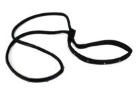 Mopar 5065991AE Surround Weatherstrip, Front Driver Side