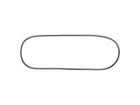 Mopar 55176567AD Reveal Molding, Front Mopar 55176567AD Reveal Molding, Front