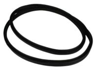 Mopar 55399229AF Lift Gate Weatherstrip, Rear
