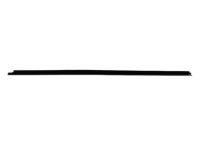 Mopar 55369293AF Belt Weatherstrip, Front Outer Driver Side
