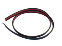 Mopar 68289841AC Roof Molding, Driver Side