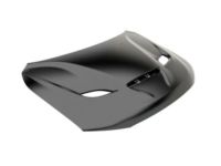 Mopar 68309501AG Hood Mopar 68309501AG Hood