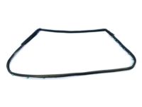 Mopar 68040046AL Weatherstrip Rear Door Mounted