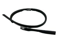 Mopar 5076872AA Weatherstrip Rear Door Flush Glass