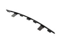 Mopar 68228876AA Lower Molding, Front