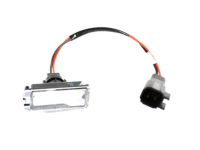 Mopar 68146207AA License Lamp