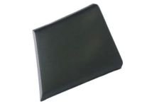 Mopar 1ZT50LAHAA Body Side Molding, Driver Side