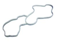Mopar 68394131AA Water Pump Gasket