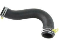 Mopar 55056945AE Lower Hose