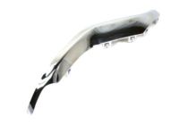 Mopar 68170063AB Applique, Front Driver Side