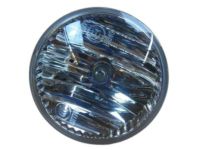 Mopar 68081399AB Fog Lamp, Front