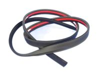 Mopar 5116272AB Roof Molding