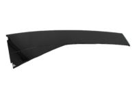 Mopar 5288840AH Applique C Pillar