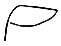 Mopar 55276181AF Seal Glass Running Front