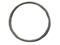 Mopar 68147586AA Inlet Tube O-Ring