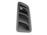 Mopar 68307288AC Bezel Hood