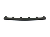 Mopar 6BA89TZZAA Upper Molding, Front