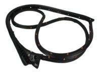 Mopar 5067767AD Door Weatherstrip, Front