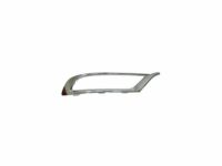 Mopar 5SW14SZ0AA Bezel Front Fascia