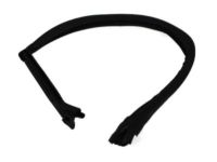 Mopar 4575891AC Running Front Door Glass