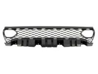Mopar 68417502AA Upper Grille, Front