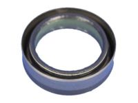 Mopar 68003119AA Seal Input Shaft