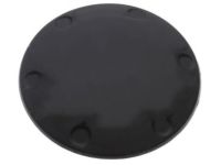 Mopar 68232015AA Plug, Rear