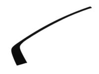 Mopar 57010506AJ Molding Day Light Opening Rear Door