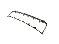 Mopar 5XL23TZZAA Grille Surround, Front