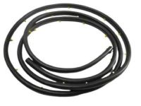 Dodge Ram 3500 Van Weather Strip - 55346677AI Weatherstrip, Front Driver Side
