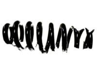 Dodge Dakota Coil Springs - 52855673AB Spring, Front